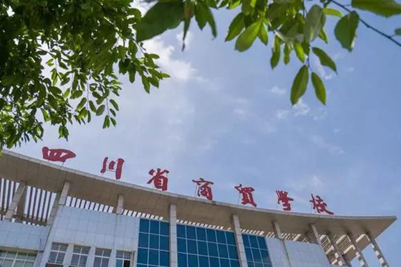 商品批发零售：行业动态与发展趋势